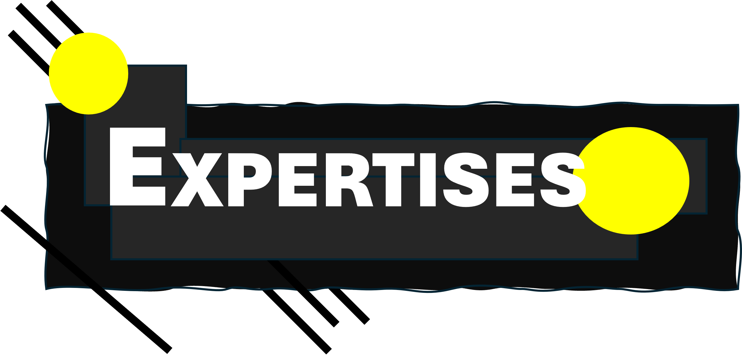 Expertises